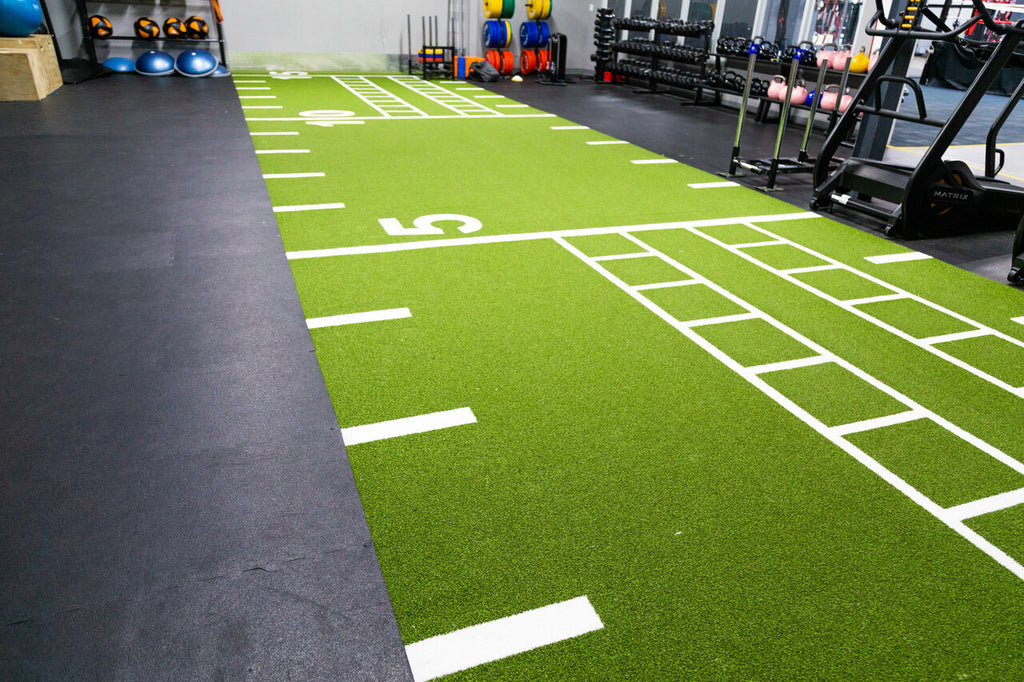 LDS Grid Iron Turf 15' W