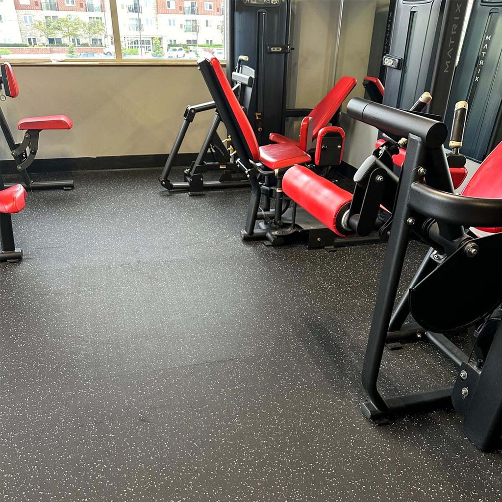 LDS Alpine Series Rubber Roll Gym Floor 8MM