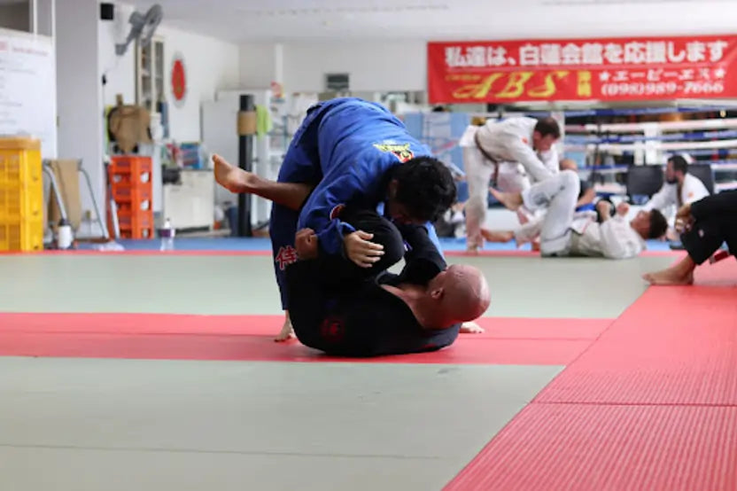 Dojos Approach Dojos 101: Ultimate Guide For Designing Your Martial Arts Dojo ...