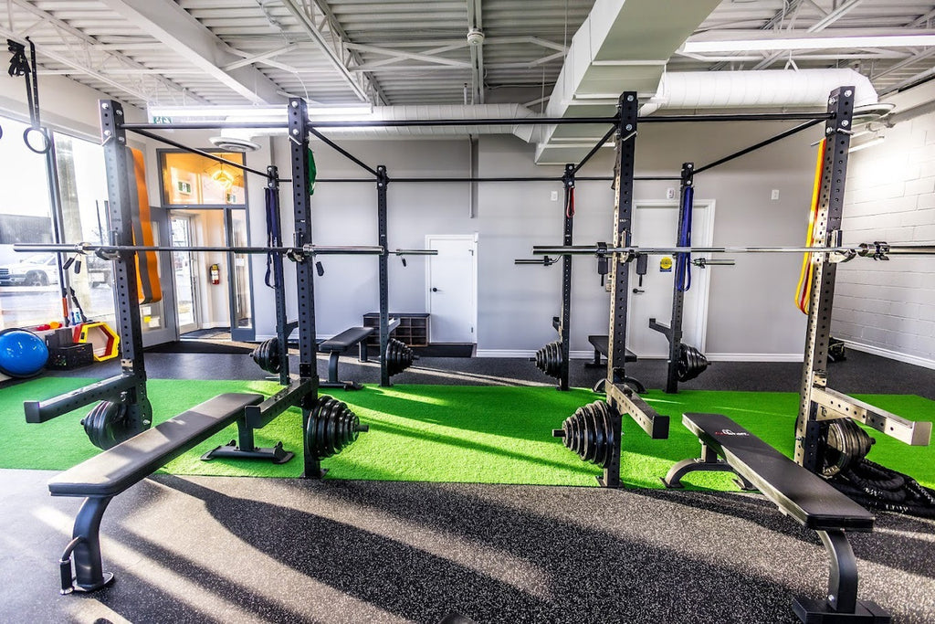 LDS Sport Drive Turf 6.5'W