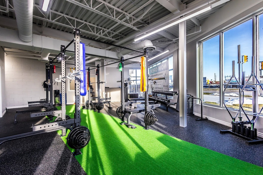 LDS Sport Drive Turf 6.5'W