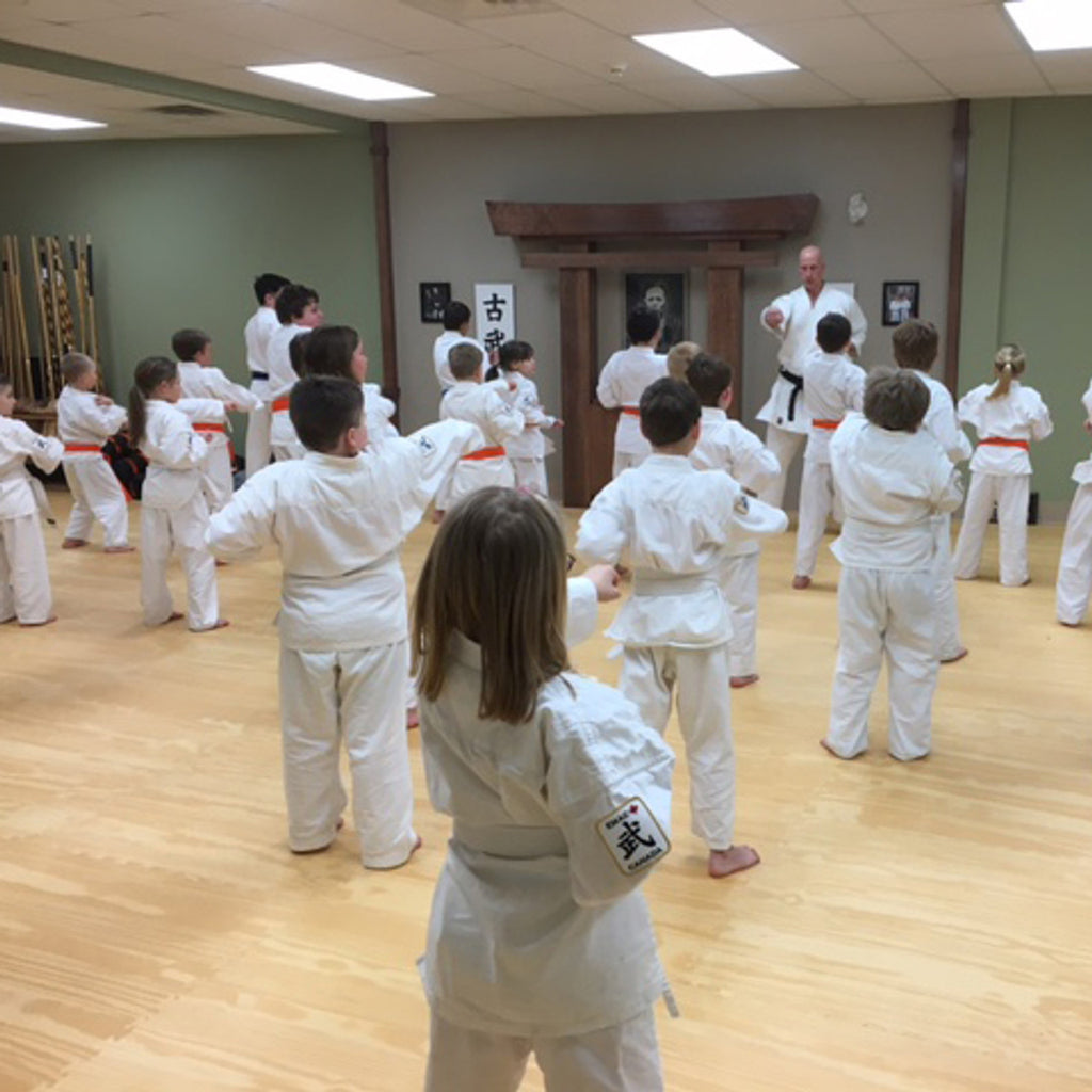 Zebra Woodgrain Puzzle Floor Mats