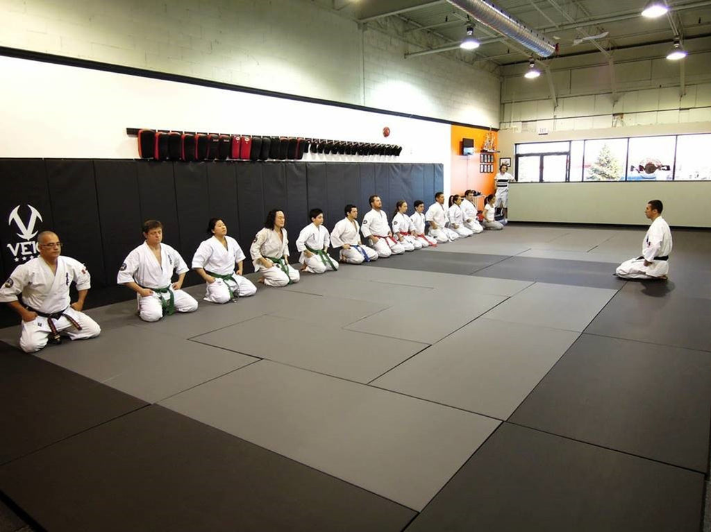 Veio Sports Wall Pad 2' x 6'