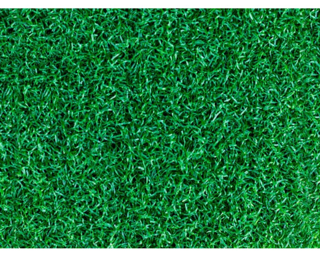 LDS Sport Drive Turf 6.5'W