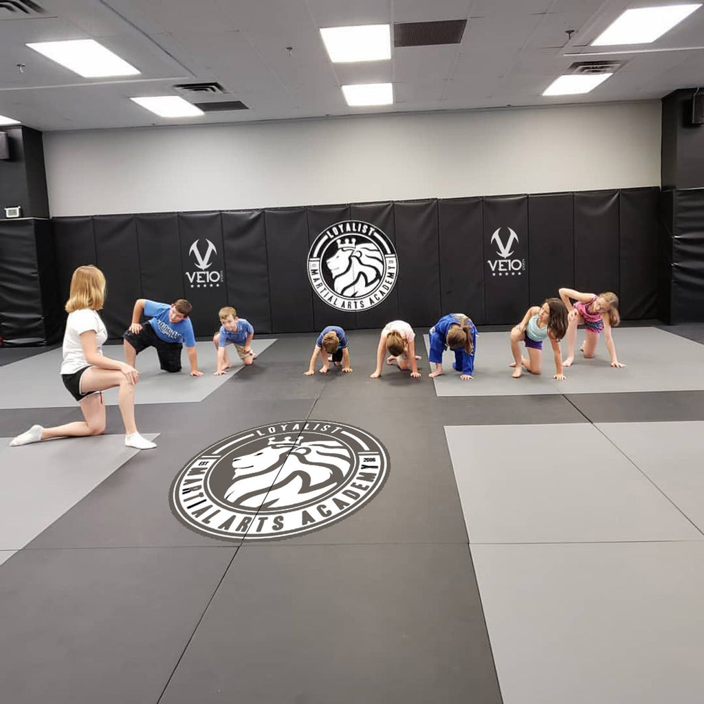 Veio Sports Wall Pad 2' x 6'
